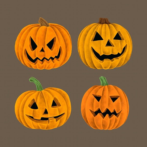 Референсы тыквы