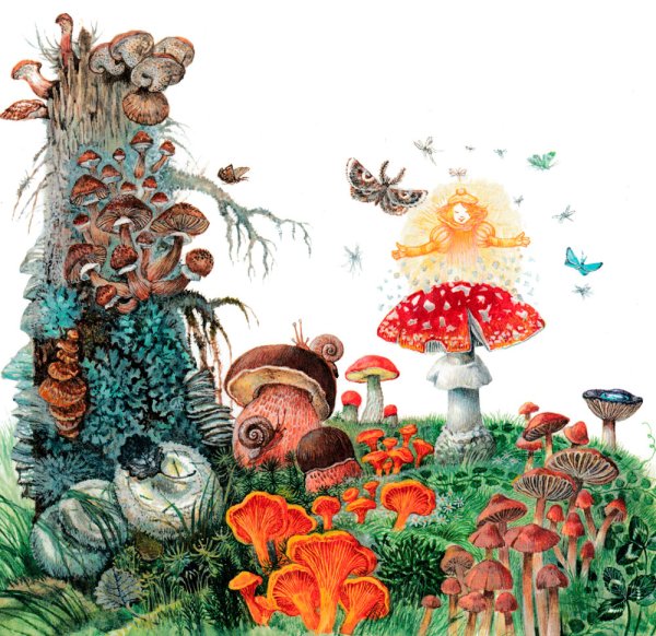 Грибная Поляна для детей