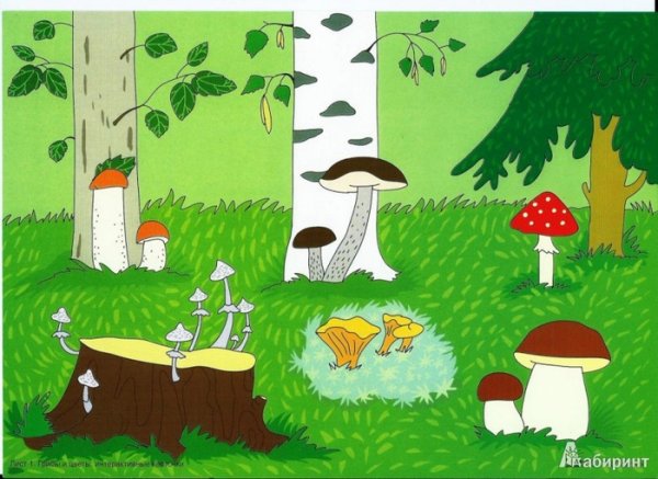 Поляна с грибами для детей