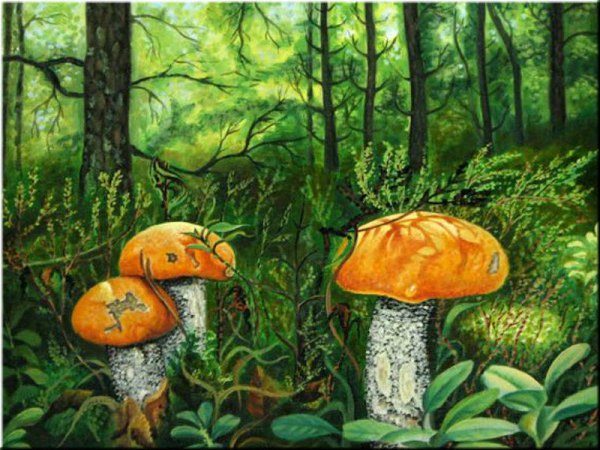 Грибной лес живопись