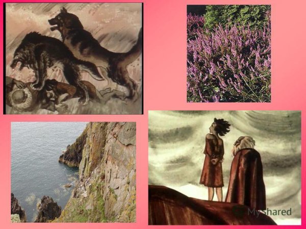 Иллюстрация к балладе Вересковый мед