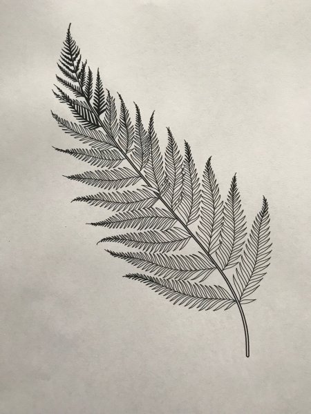 Листик папоротника тату