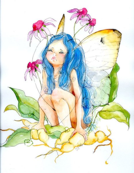 Художник Silvia Lugli