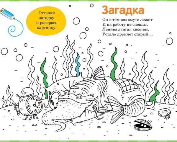 Раскраски загадки