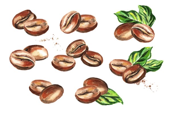 Зерна кофе вектор