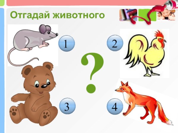 Отгадай животные