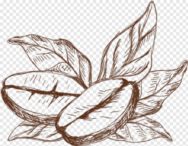 Кофе в зернах