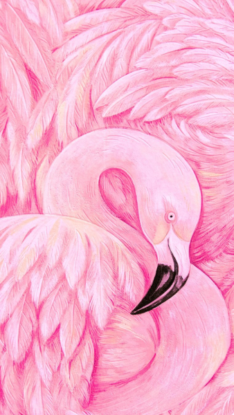 Розовый Бегемотик