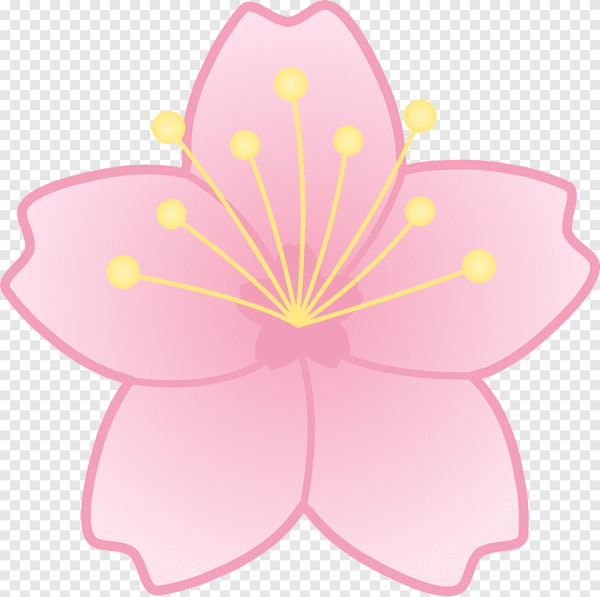 Альпака акварелью