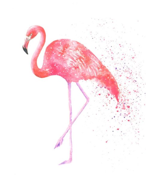 Красивый фон для женщины