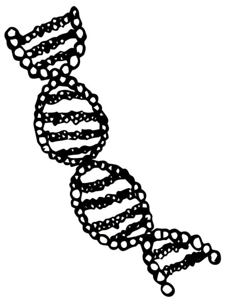 ДНК человека