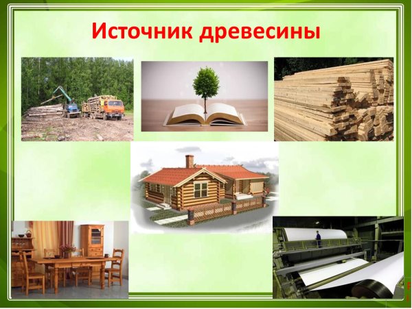 Источник древесины