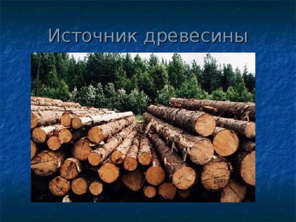 Лес источник древесины