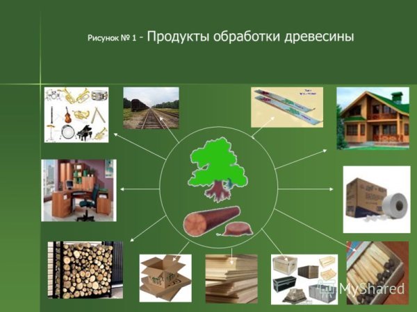 Что делают из древесины