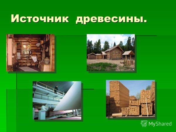 Источник древесины