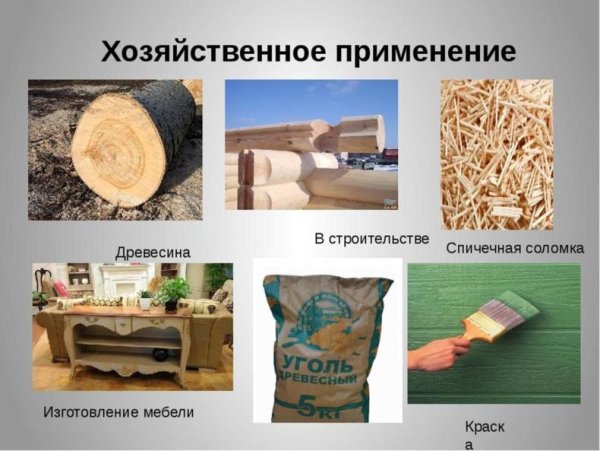 Древесина используется