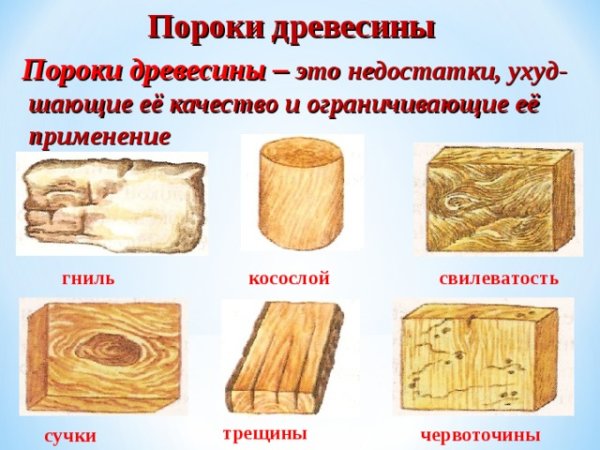Пороки древесины 5 класс технология
