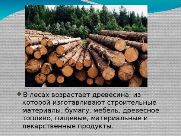 Источник древесины