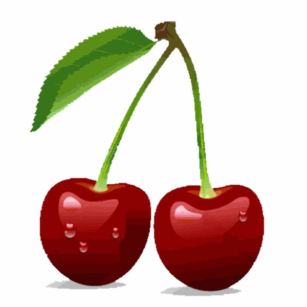 Вишня для дошкольников