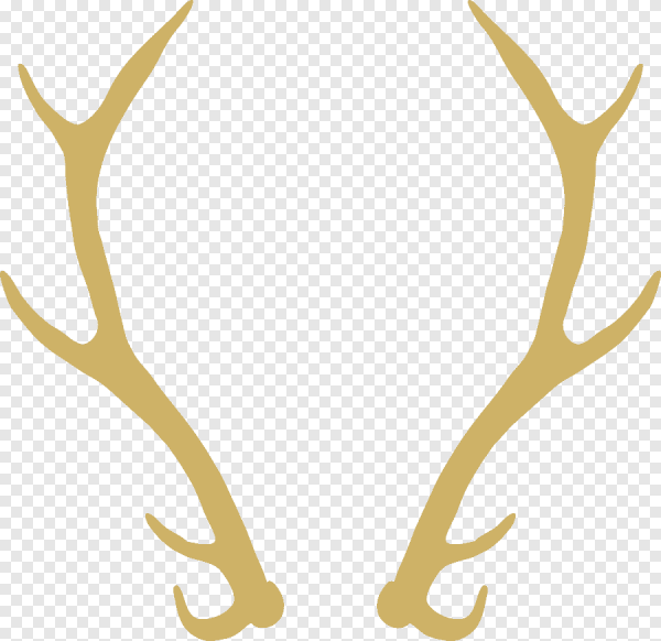 Рога оленя без фона