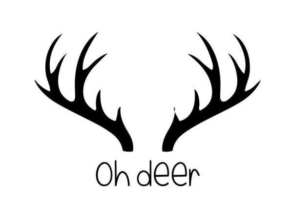 Оленьи рога