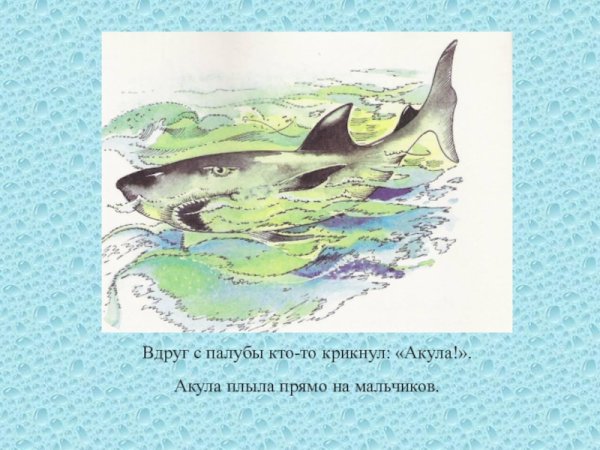 Акула Николаевич толстой