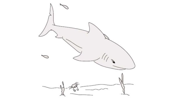 Акула по точкам