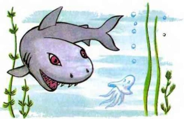 Сказка акула