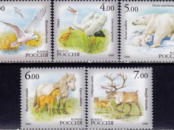 Марка Почтовая современная