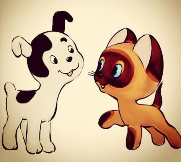 Котенок по имени Гав