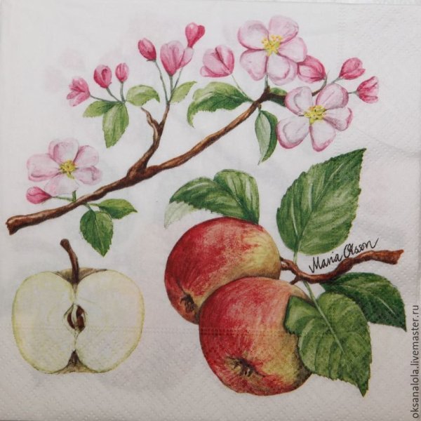 Ветка яблони с плодами