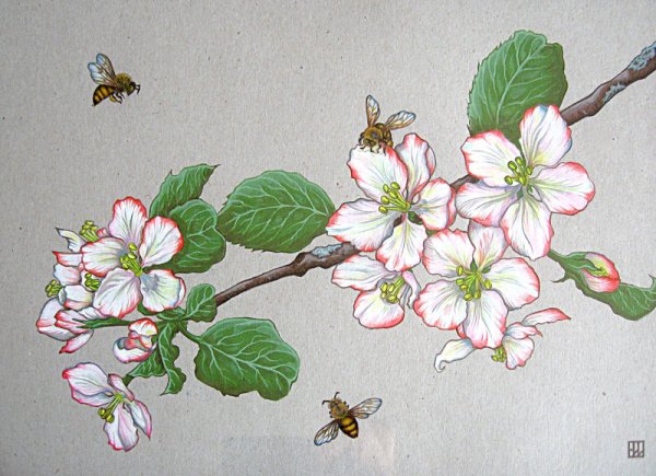 Рисование веточка яблони