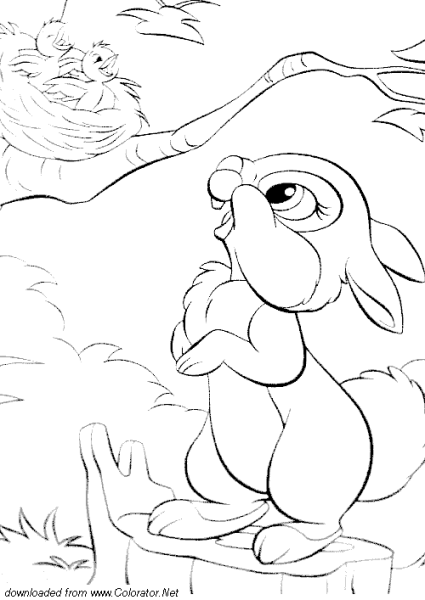 Храбрый заяц раскраска