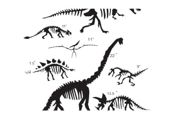 Кости динозавров для детей