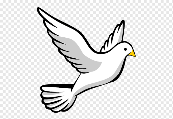 Трафарет голубя