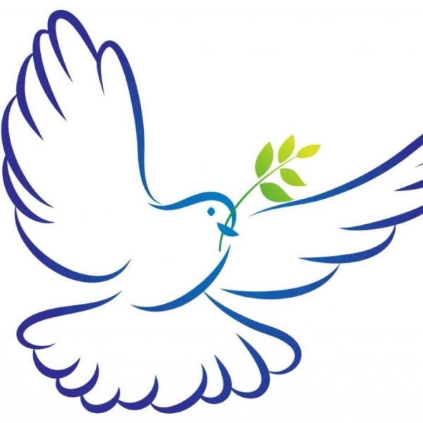 Белый голубь мира