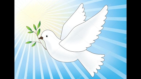 Голубь мира раскраска