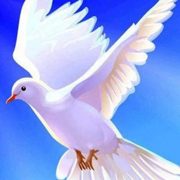 Голубь мира