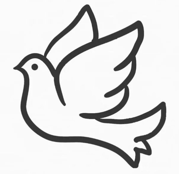 Белый голубь