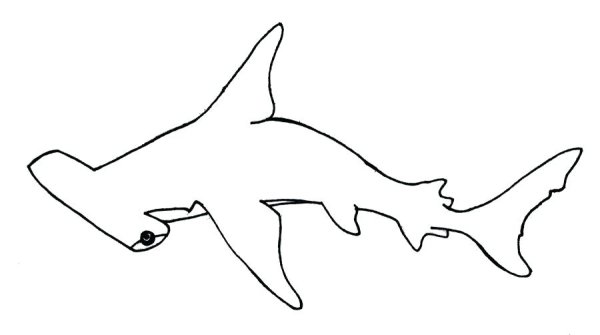 Рыба молот раскраска