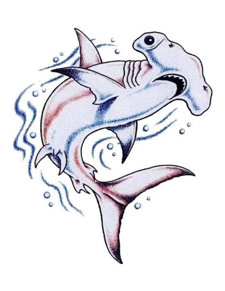 Акула молот эскиз тату