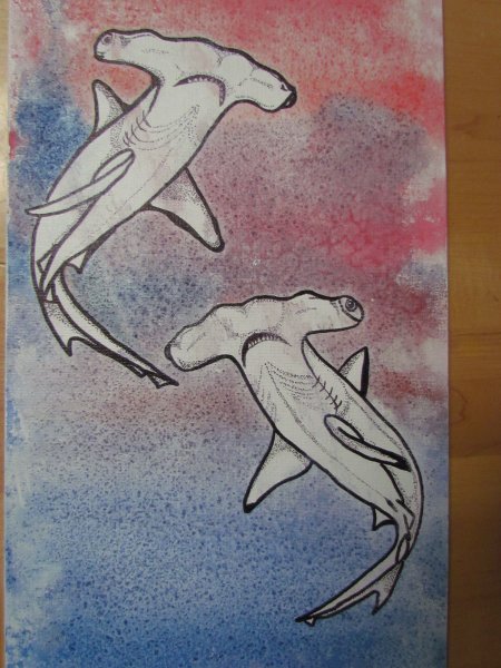 Акула молот рисунок