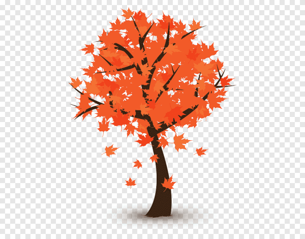 Осеннее дерево на белом фоне