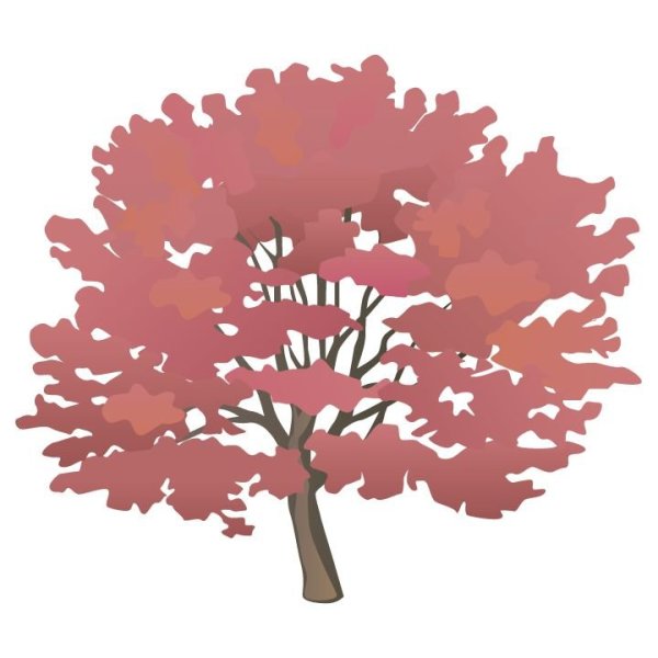 Клен картинка для детей