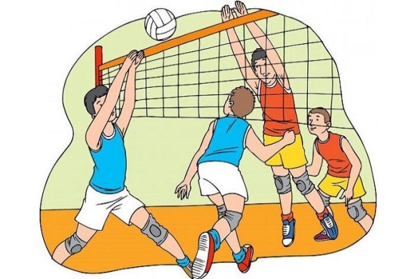 Спортивные секции волейбол