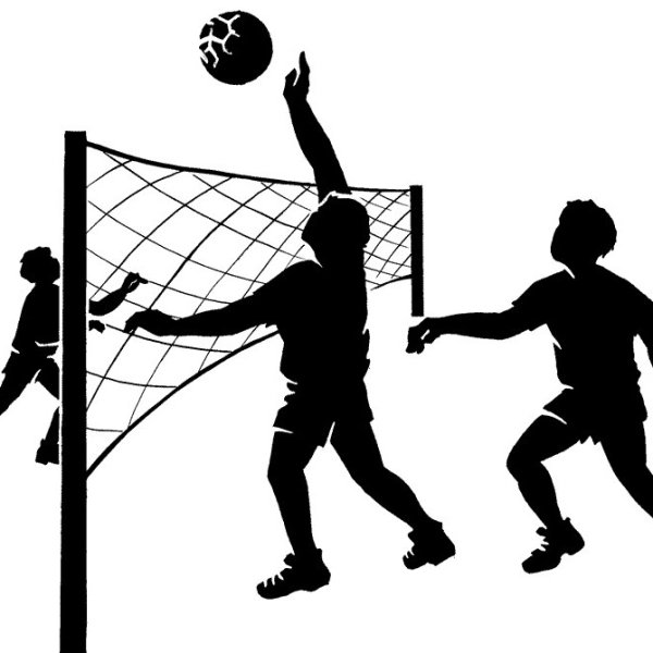 Волейбол картина