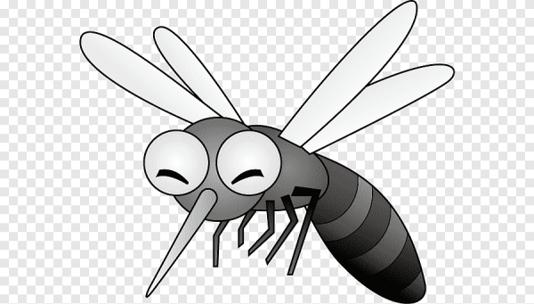 Комар Евгений