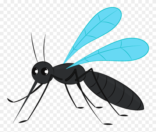 Комар для детей