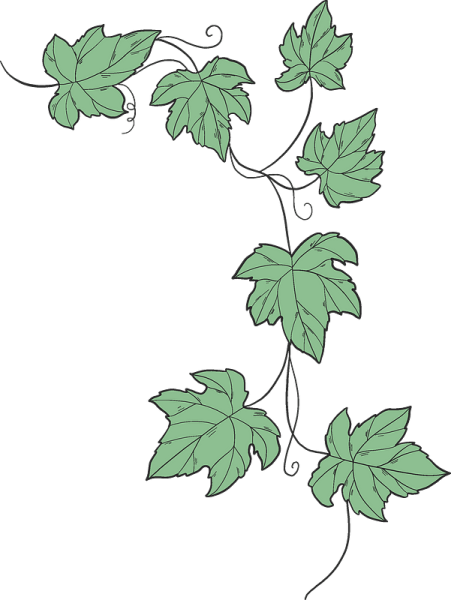 Нарисовать вьющиеся растения