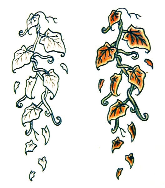 Плющ Хмель Вьюнок